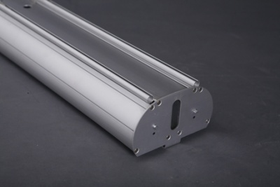 Roll Up Lion Double Side inkl. Druck